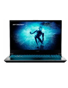 Medion Erazer Deputy P60 i5-12450H RTX 4060 16GB 512GB 15.6" FreeDOS