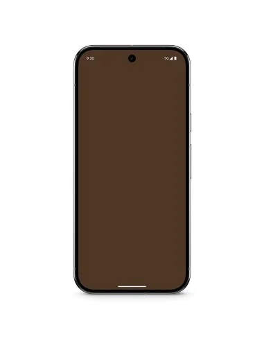 GOOGLE PIXEL 9 PRO 16GB+128GB 5G: Verde Liquen