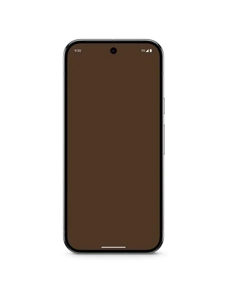 GOOGLE PIXEL 9 PRO 16GB+128GB 5G: Verde Liquen