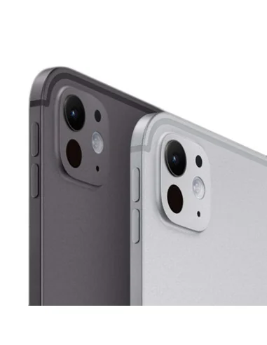 APPLE IPAD PRO 256GB/WIFI 11", NEGRO ESPACIAL