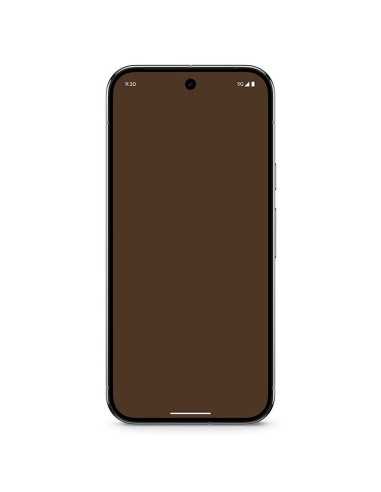 Google Pixel 9 Pro 5G 16GB+128GB Verde Líquen - Versión Internacional